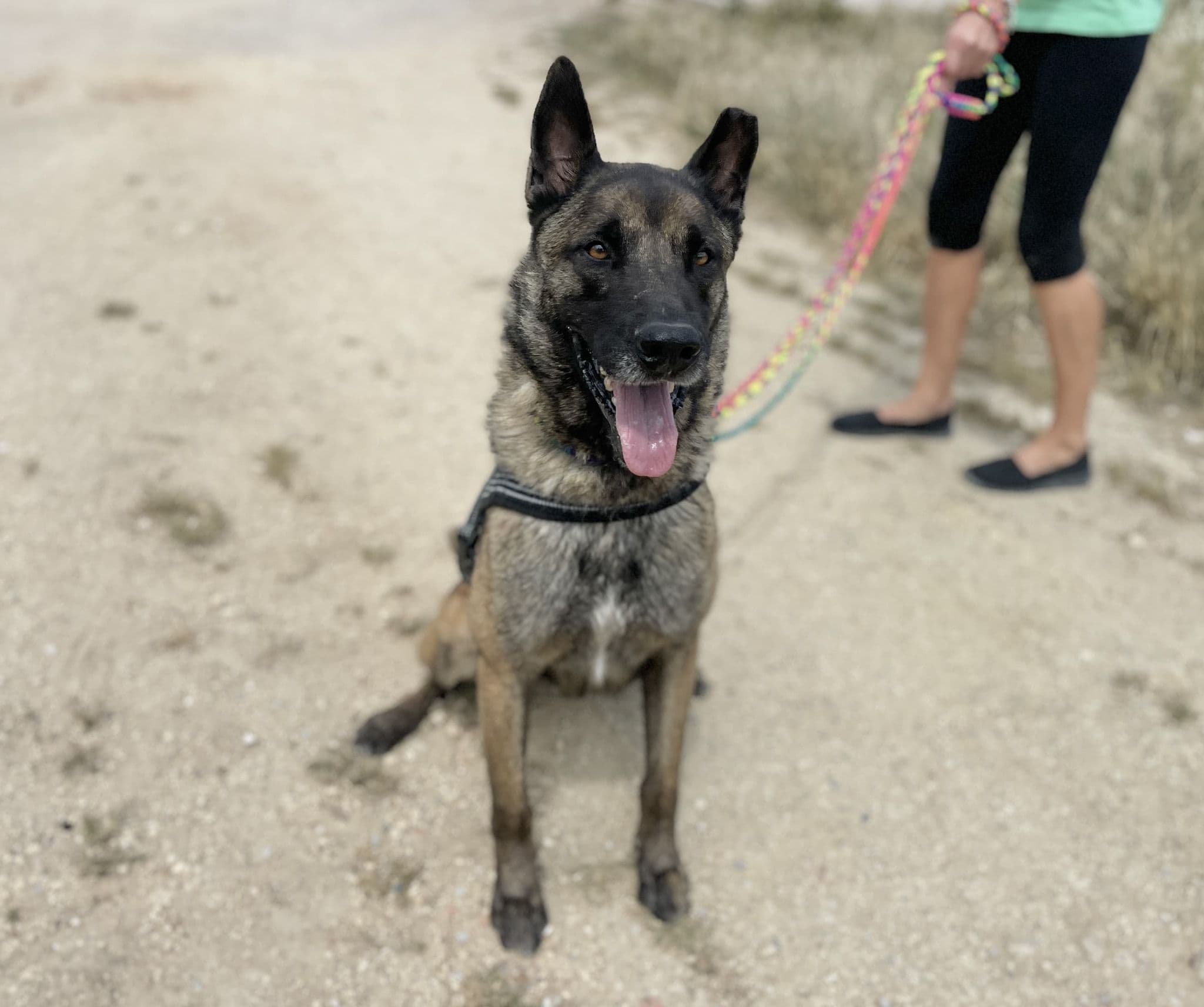 Frankfurt - Image 21