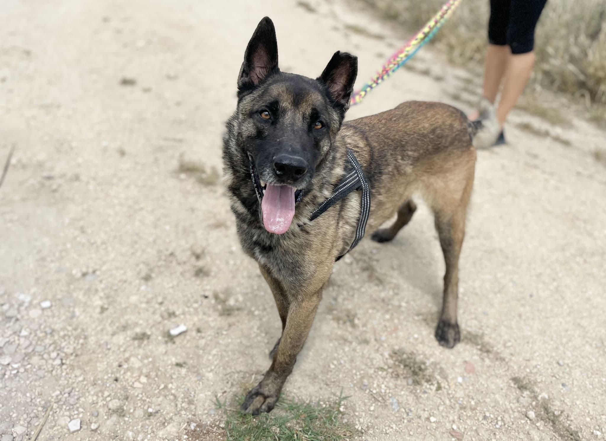 Frankfurt - Image 19