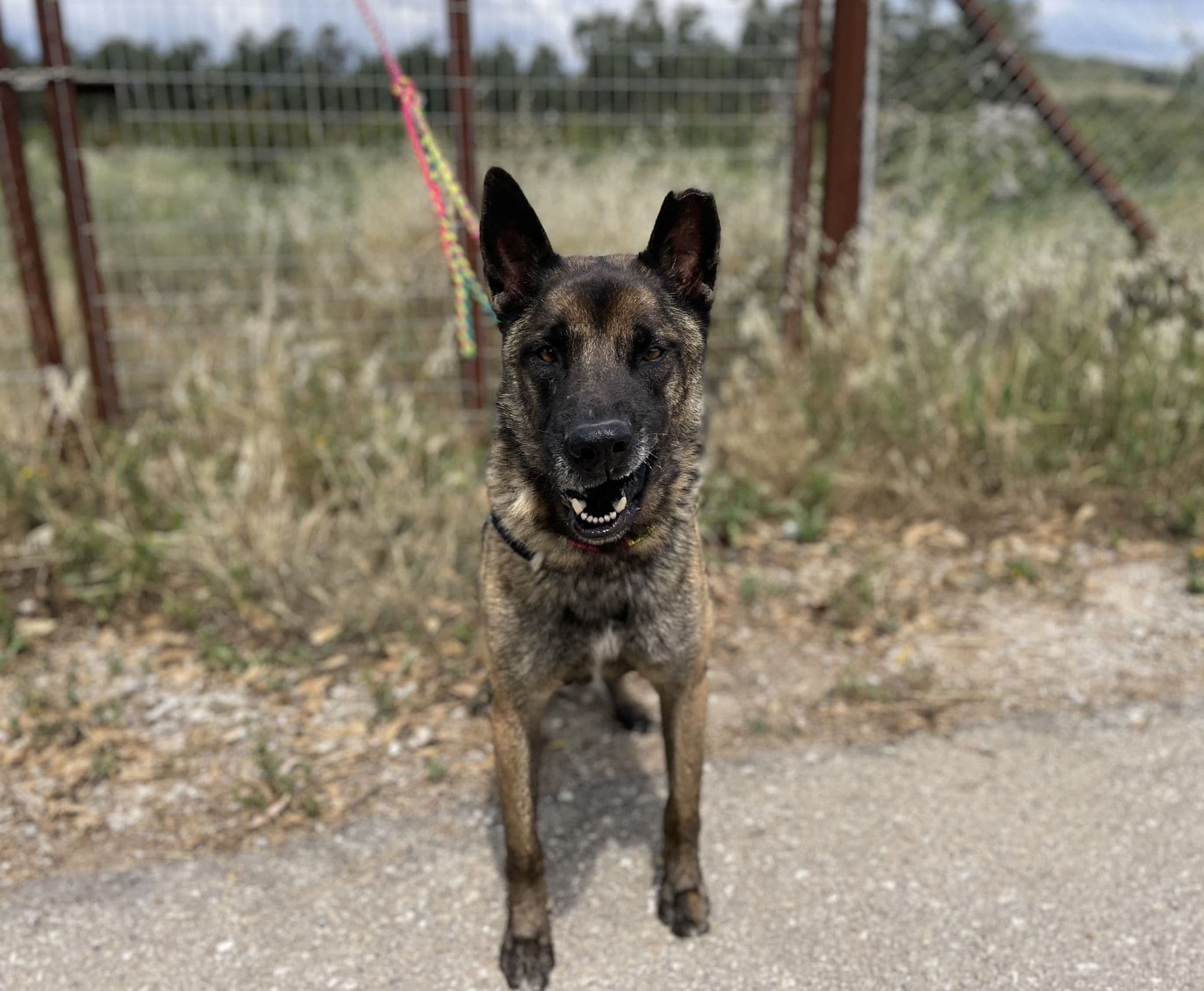 Frankfurt - Image 23