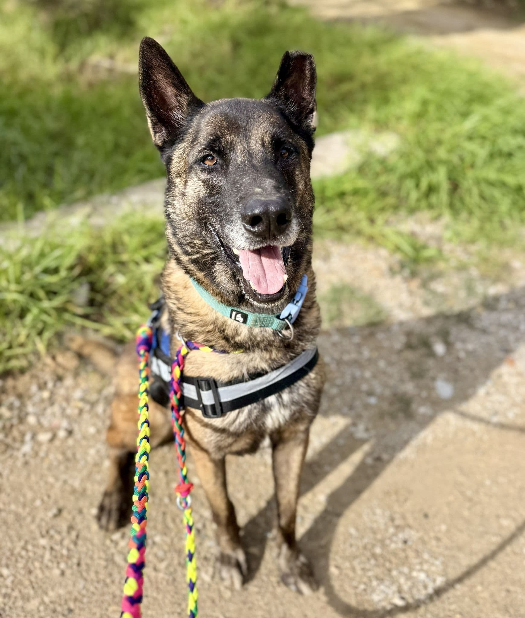 Frankfurt - Image 16