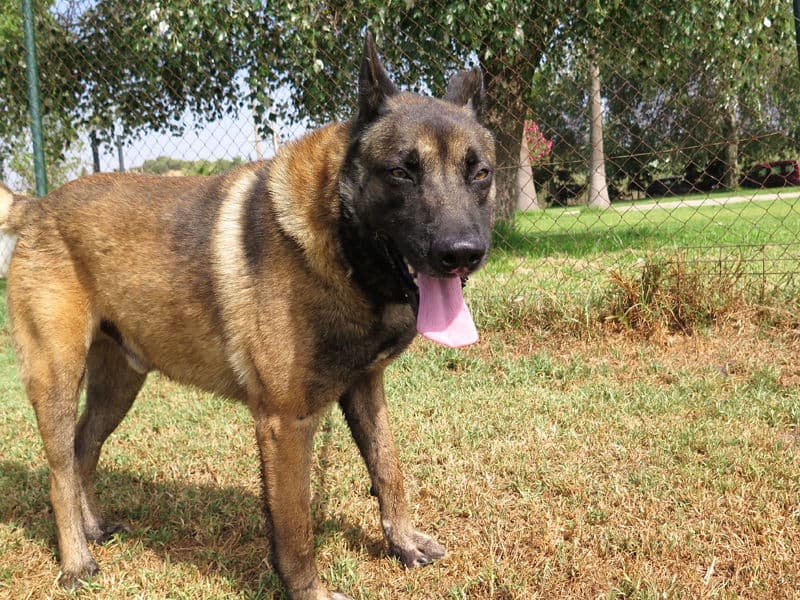 Frankfurt - Image 24