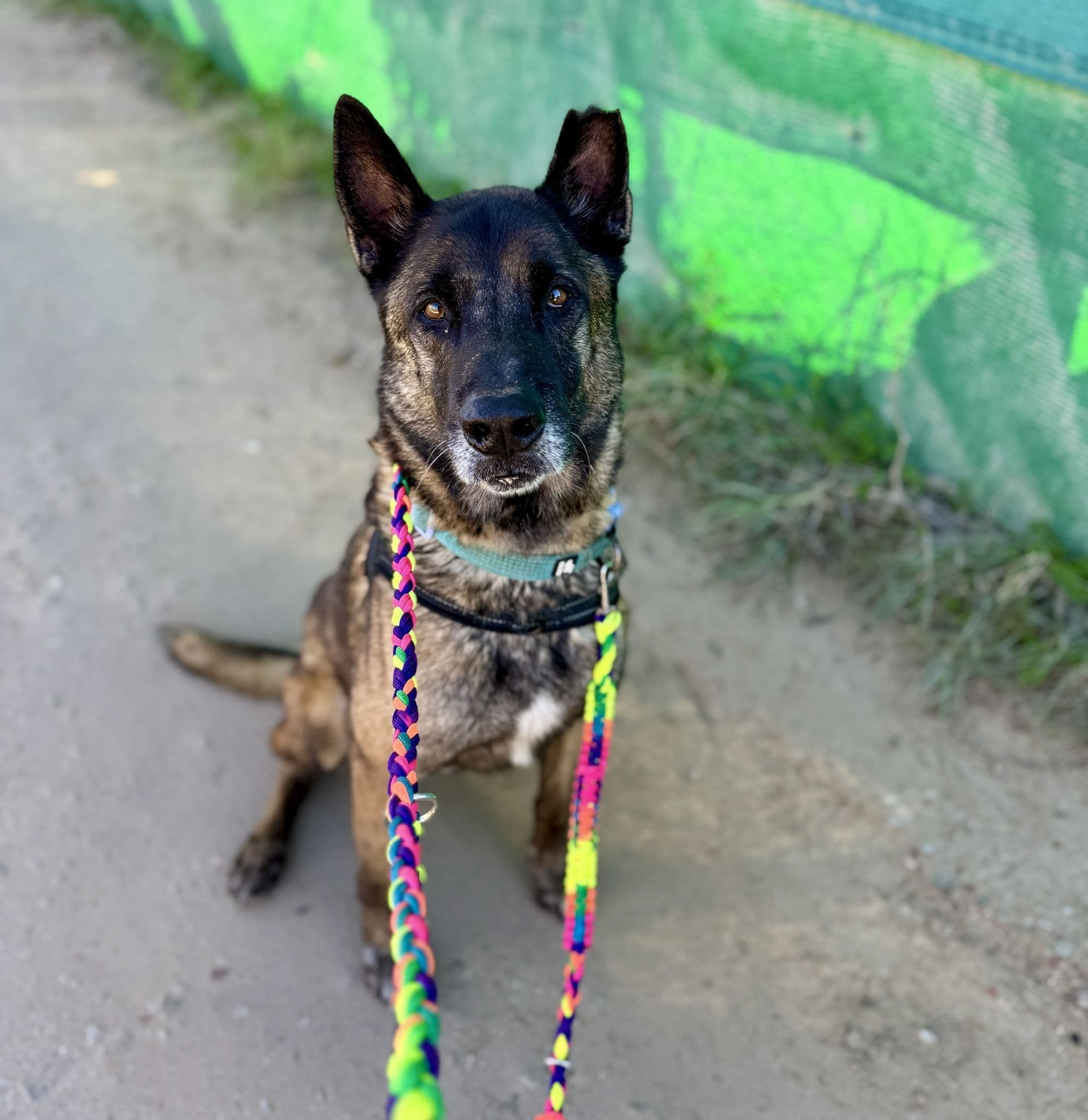 Frankfurt - Image 18