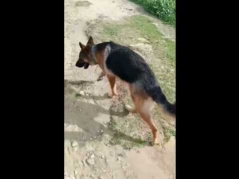 Frankfurt - Image 12