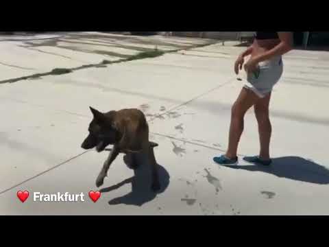 Frankfurt - Image 10