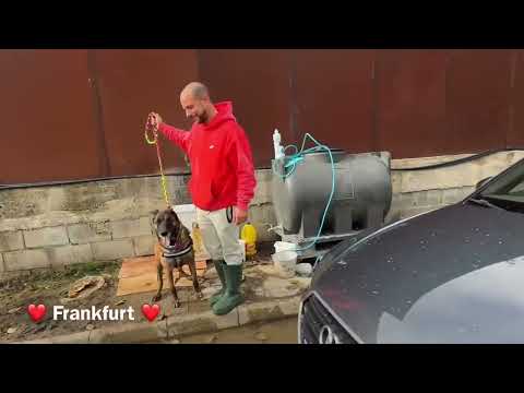 Frankfurt - Image 29