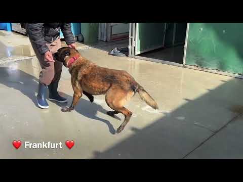 Frankfurt - Image 15