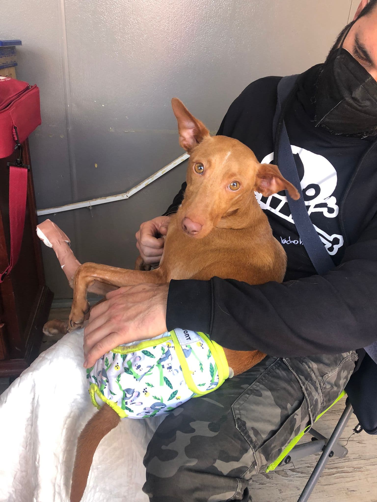 Spiderman - Image 13