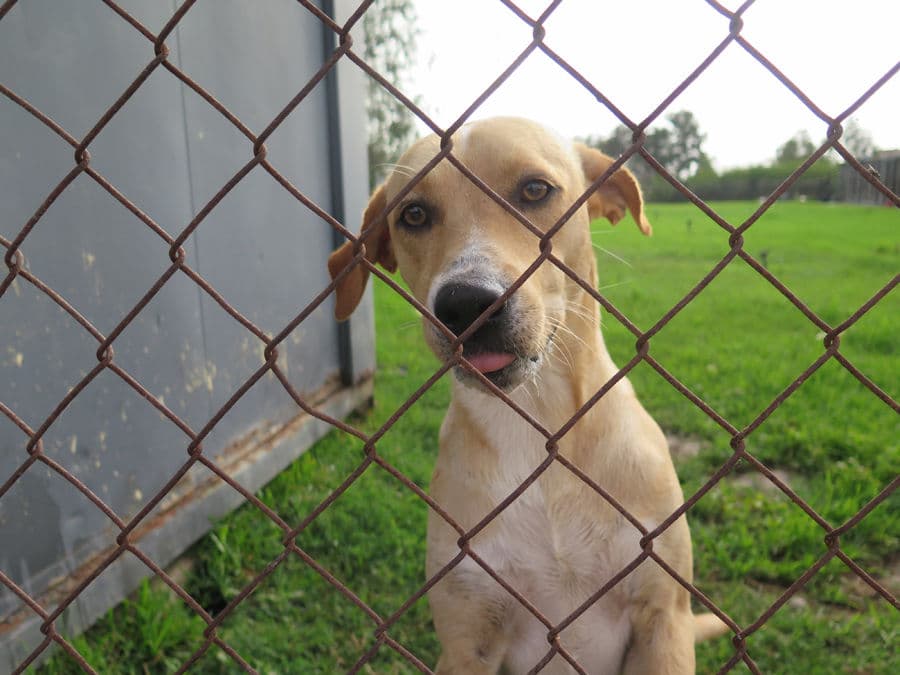Lanzarote - Image 19