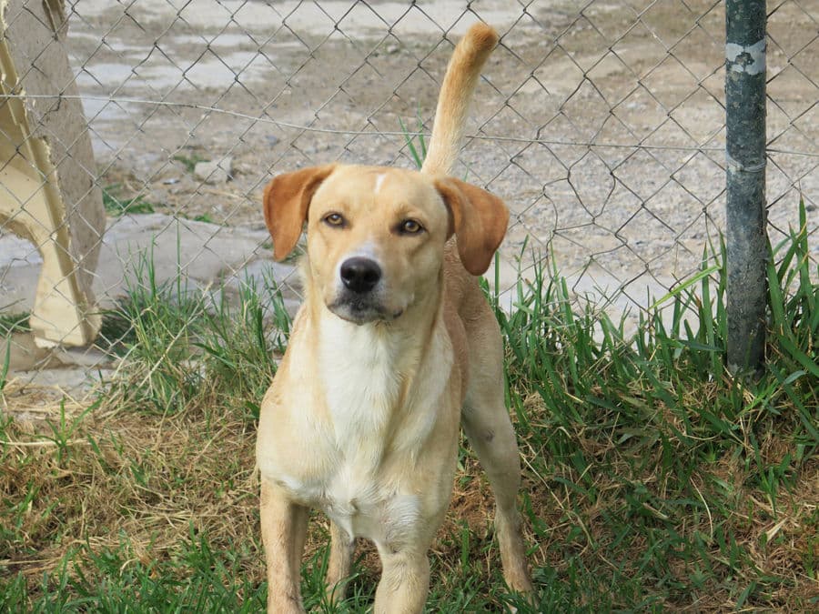Lanzarote - Image 15