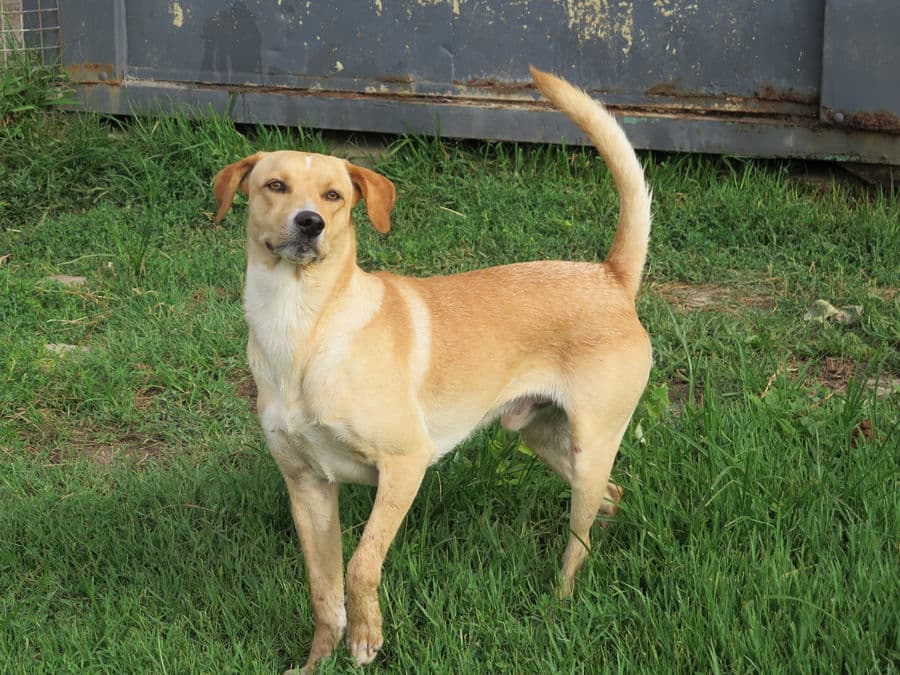 Lanzarote - Image 14