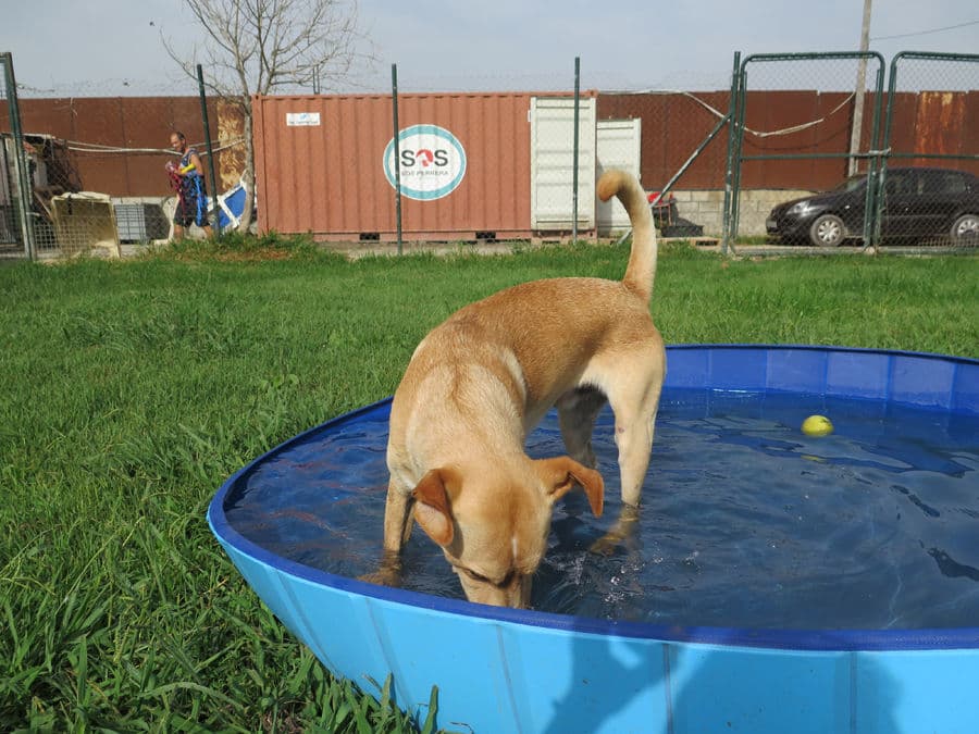 Lanzarote - Image 18