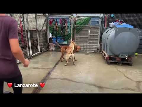 Lanzarote - Image 22