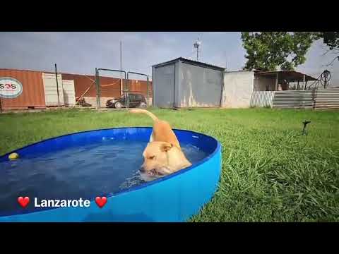 Lanzarote - Image 20