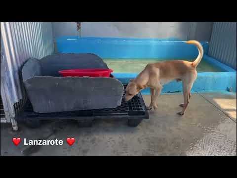 Lanzarote - Image 21