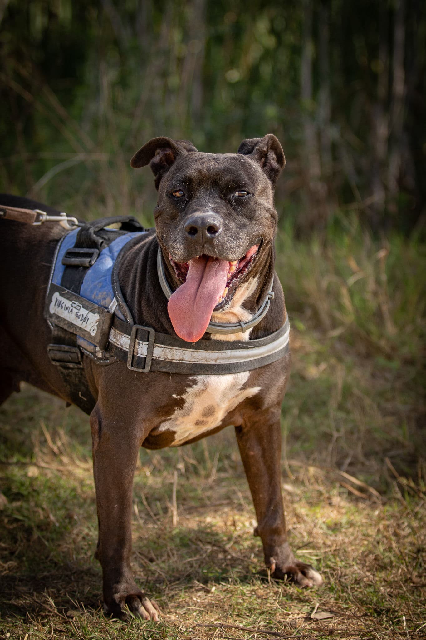 Margareth - Image 15