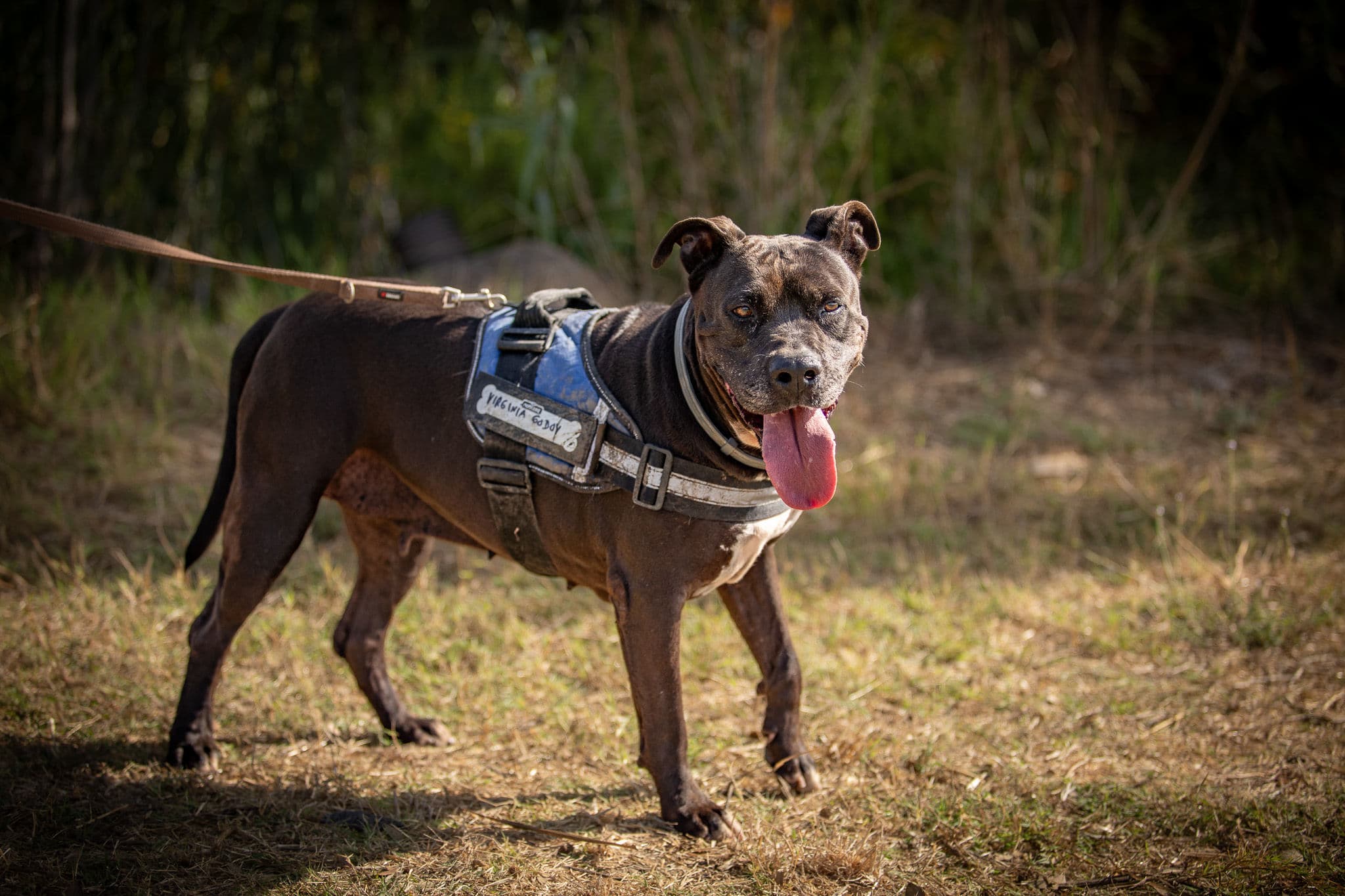 Margareth - Image 14