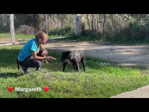 Margareth - Image 12