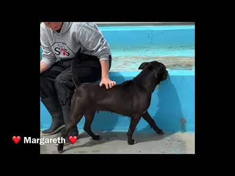 Margareth - Image 13