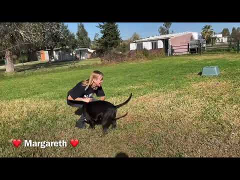 Margareth - Image 11