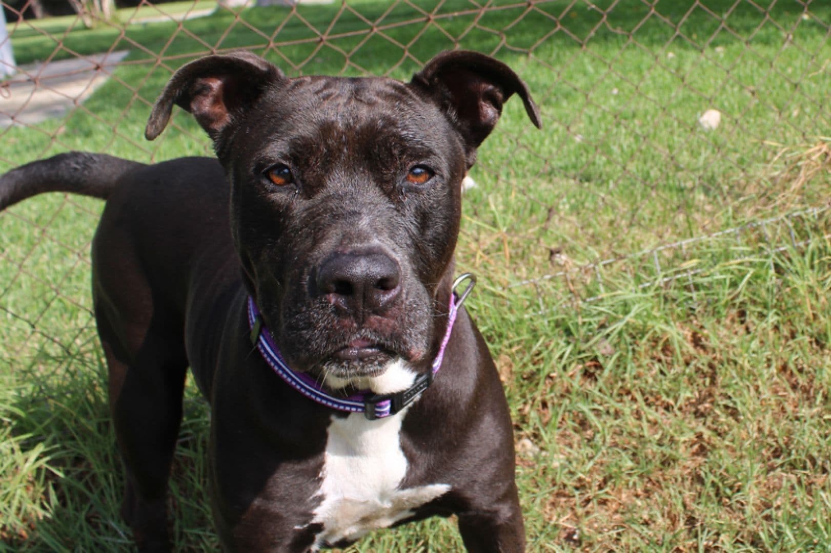 Margareth - Image 19