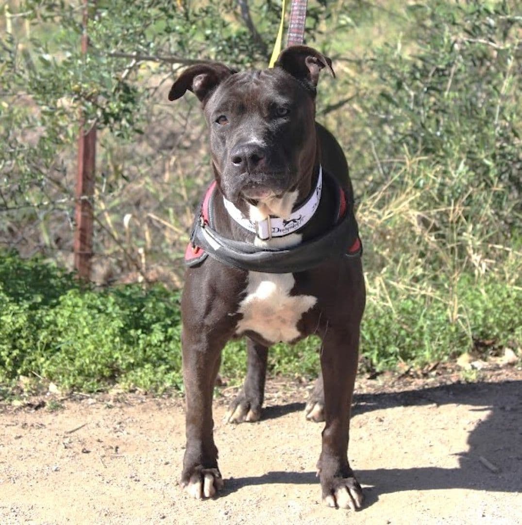 Margareth - Image 20