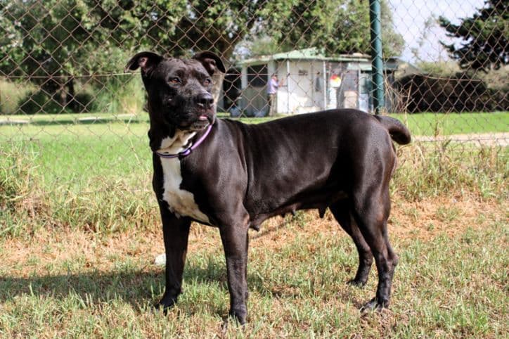 Margareth - Image 22