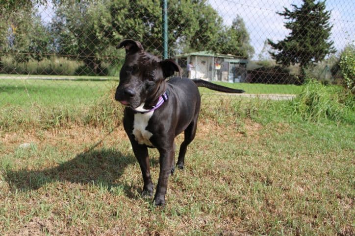 Margareth - Image 23