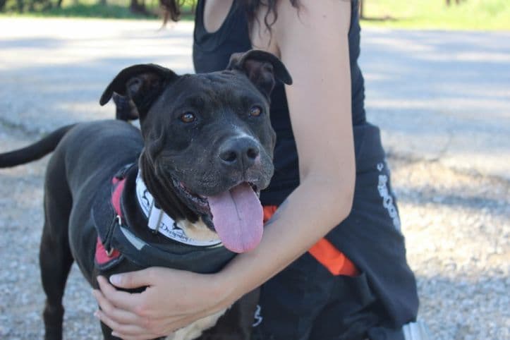 Margareth - Image 21