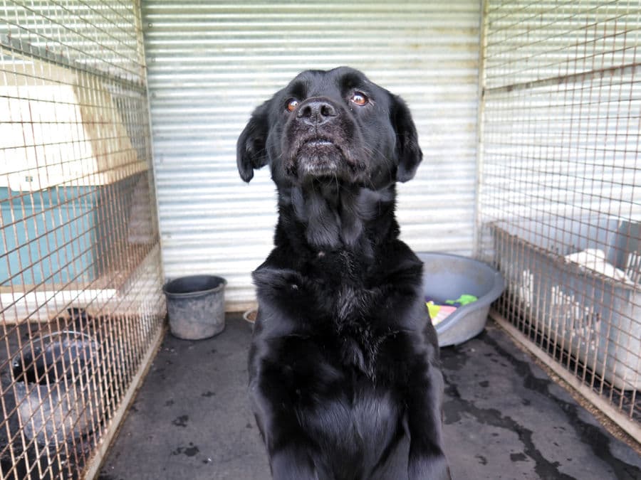 Malacaton - Image 16