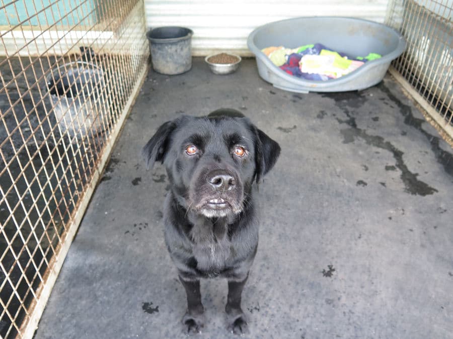 Malacaton - Image 14