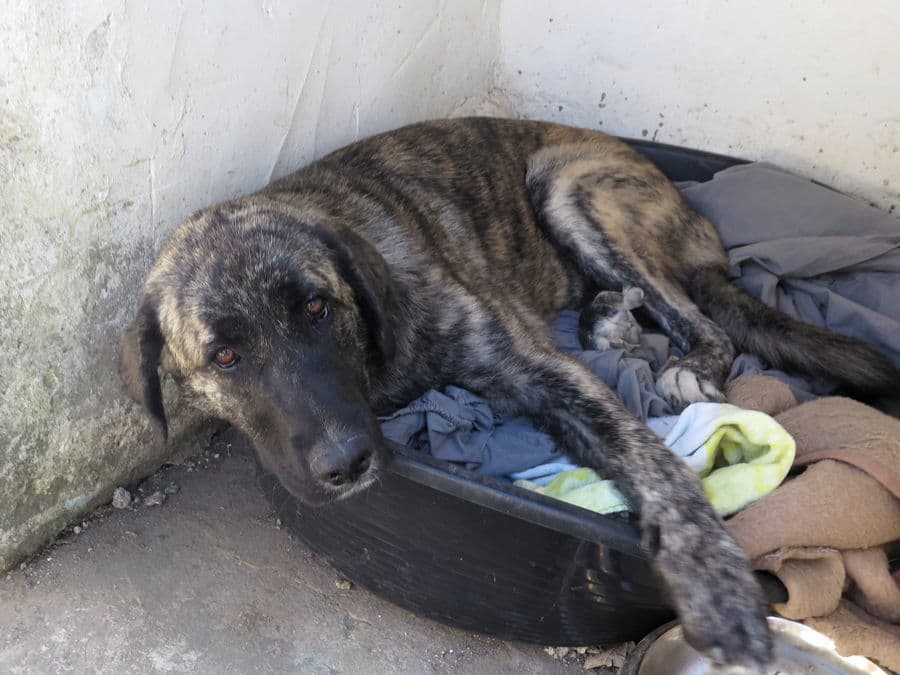 Tina Turner - Image 5