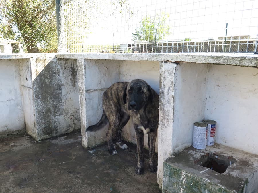 Tina Turner - Image 12