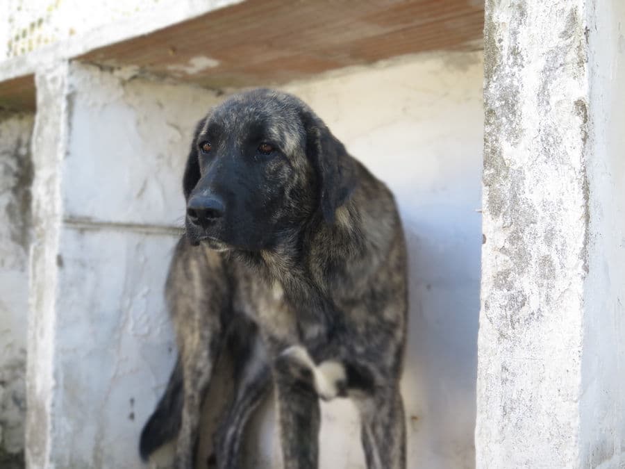 Tina Turner - Image 3