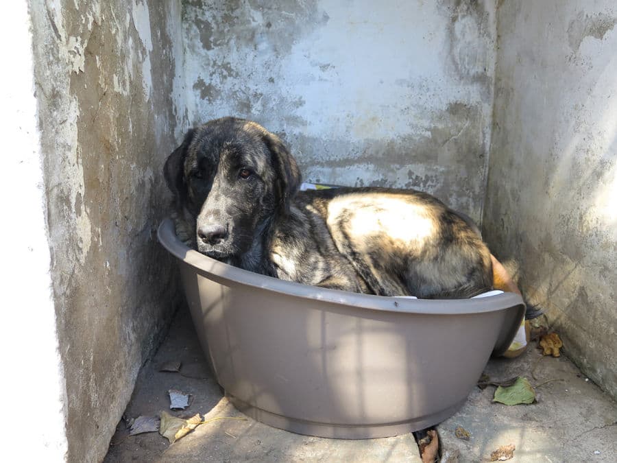 Tina Turner - Image 10