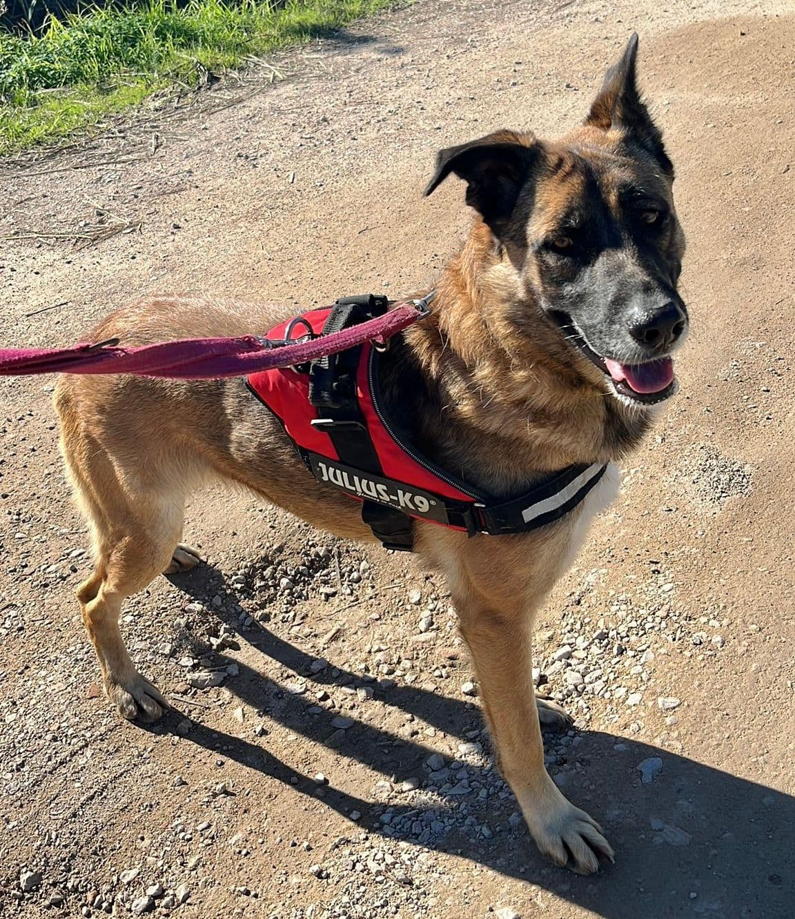 Pocahontas - Image 7