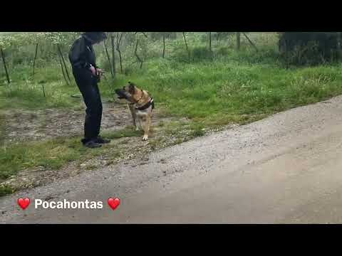 Pocahontas - Image 24