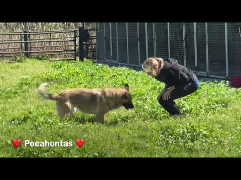 Pocahontas - Image 23