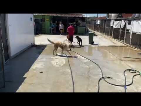 Guacamole - Image 25