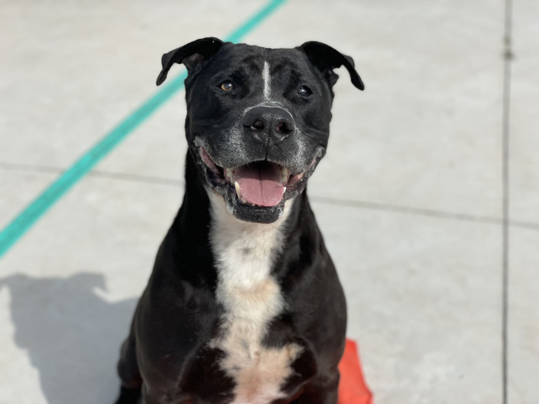 Ojos/obby - Image 16