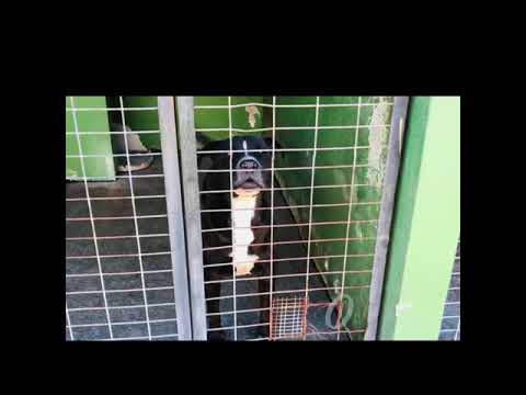 Ojos/obby - Image 10