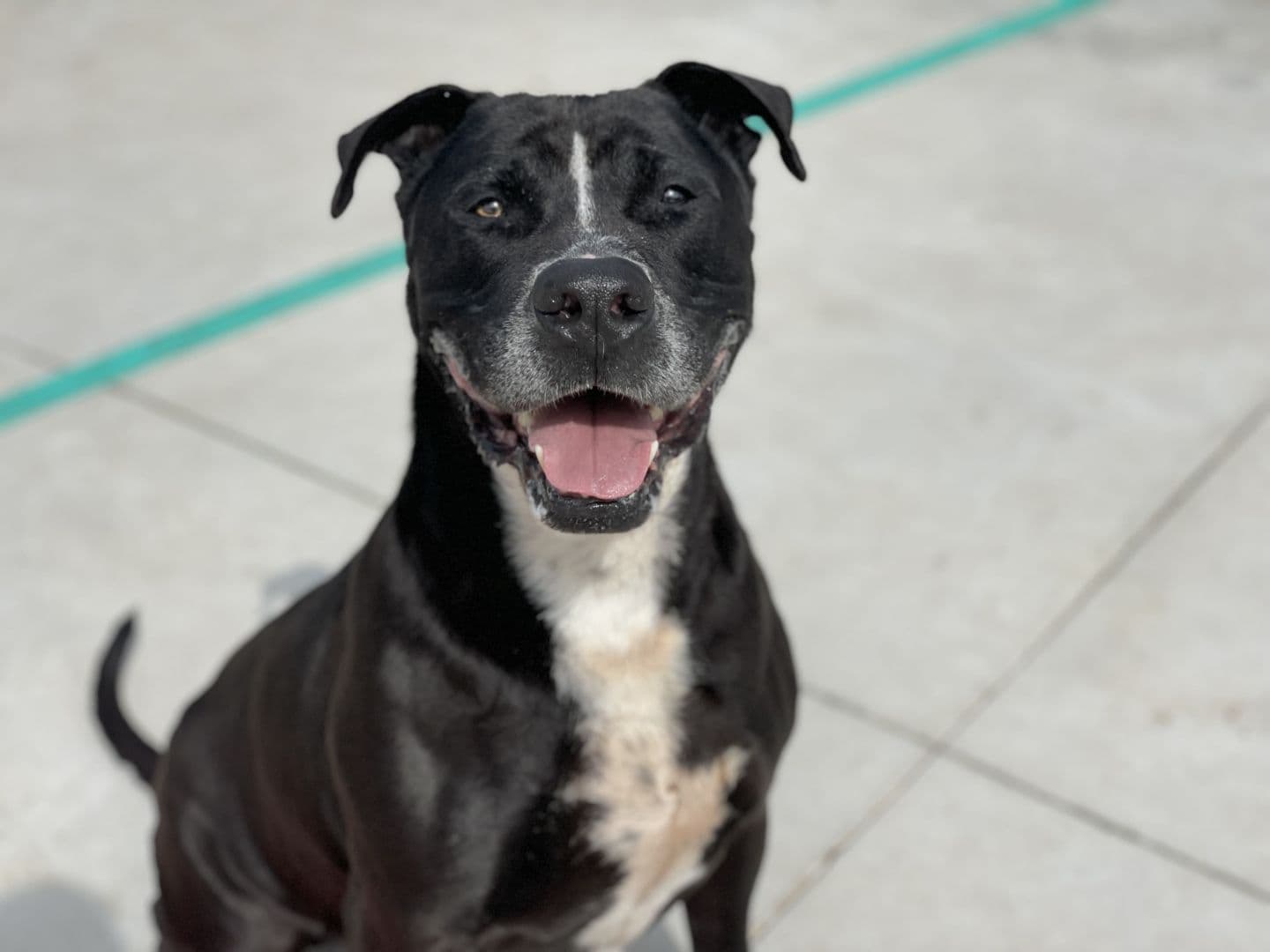 Ojos/obby - Image 12